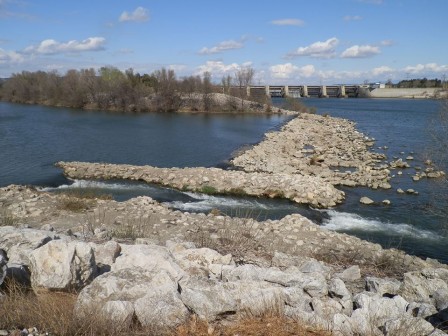 passe_poisson_confluence_Ceze_Rhone.jpg