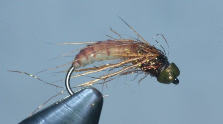 CADDIS7.JPG