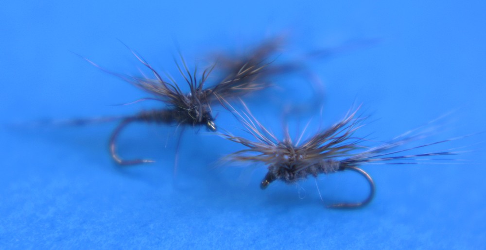 Longe de pêche Longe de pêche à la mouche Pêche à l'achigan Organisateur de  pêche Outil de pêche Pêche Longe Paracord Longe de pêche à l'achigan -   France