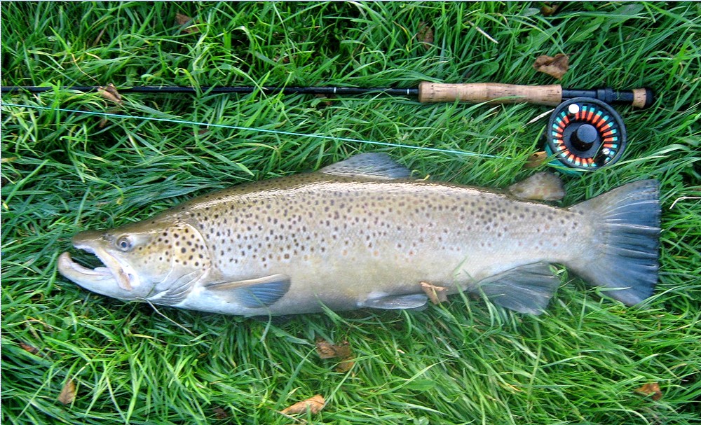 Les 10 Plus beaux endroits pour la pêche à la mouche en France - Leurre de  la pêche