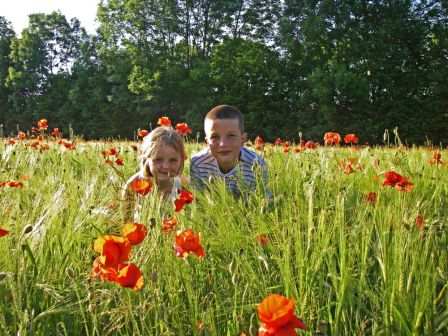 Coquelicot