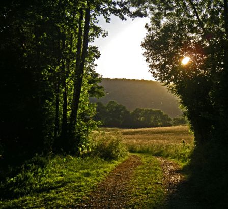 Chemin