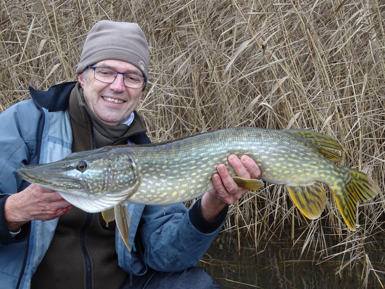 Avec quoi pêcher le brochet ? - Blog Pecheur.com