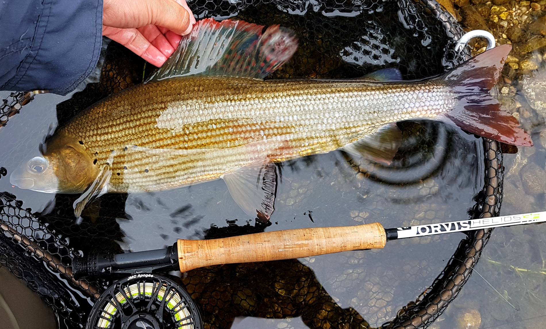 La pêche à la mouche  Pêcher, c'est pas compliqué