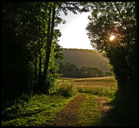 Chemin