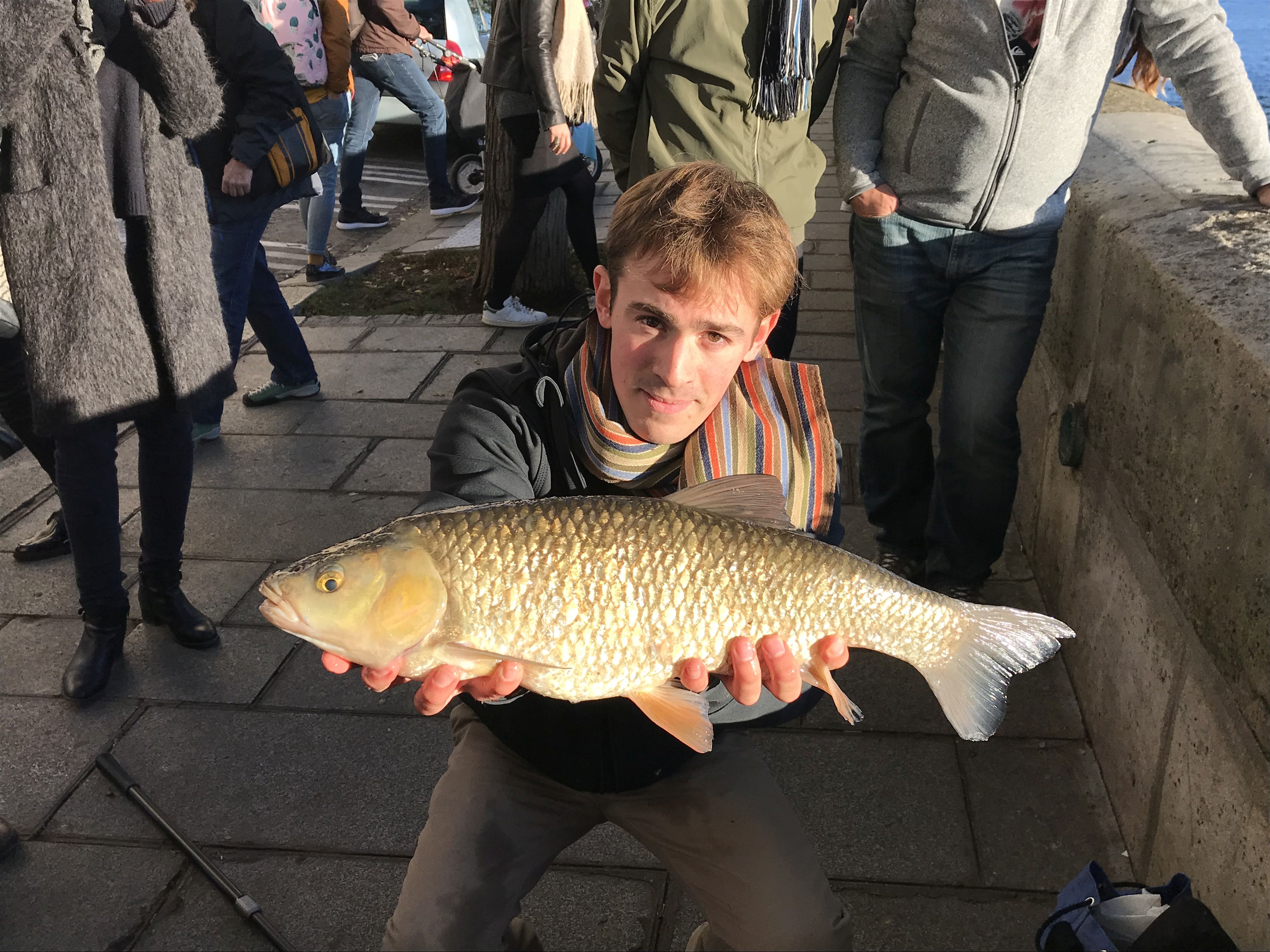 La carpe à la mouche : un matériel minimal pour un maximum de plaisir !