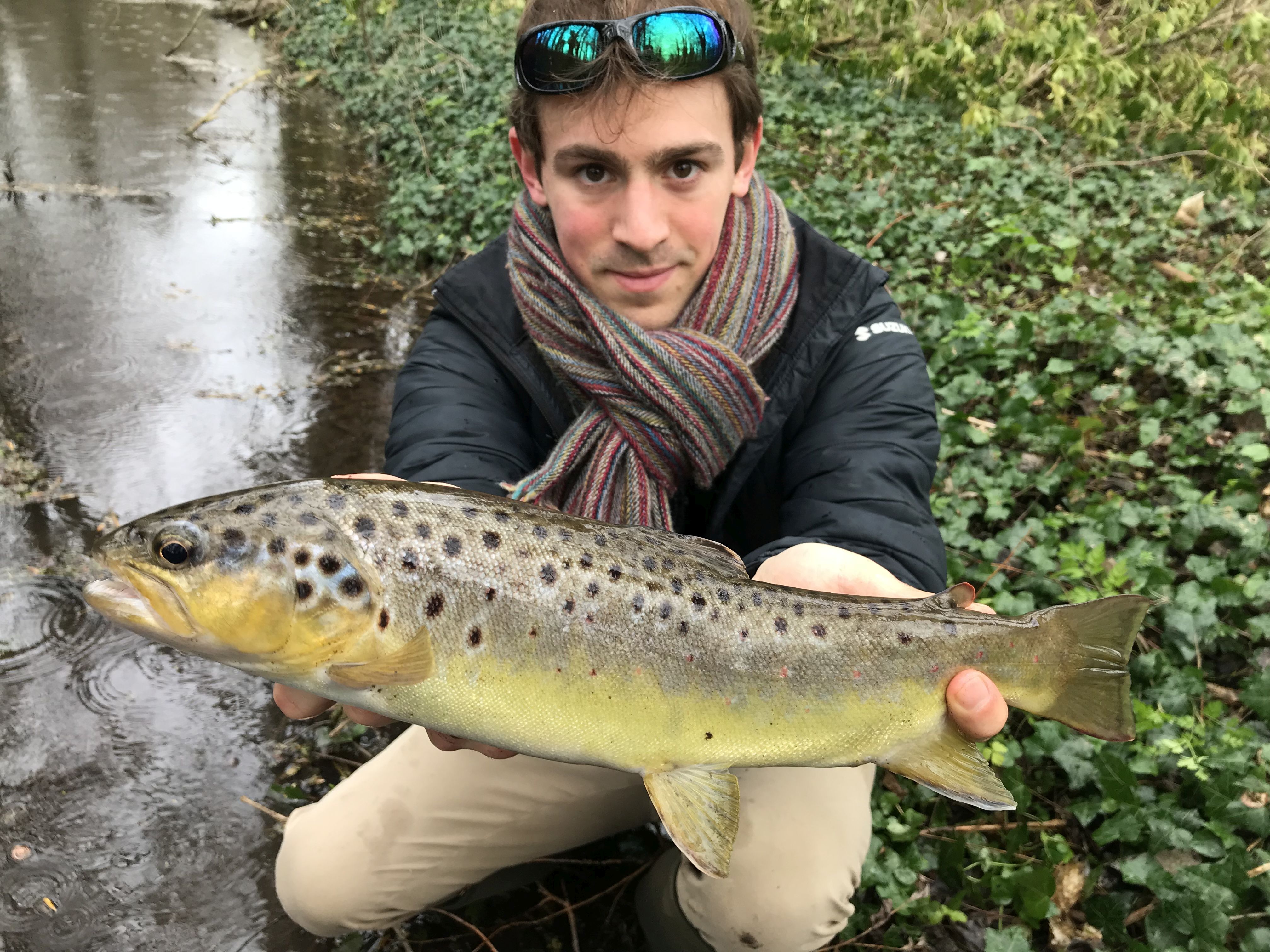 Matériel de pêche pour la truite, Choisir son matériel pour pêcher la  truite n'est pas toujours chose facile surtout quand on débute. Julien,  David et Jérôme vous parlent de leurs