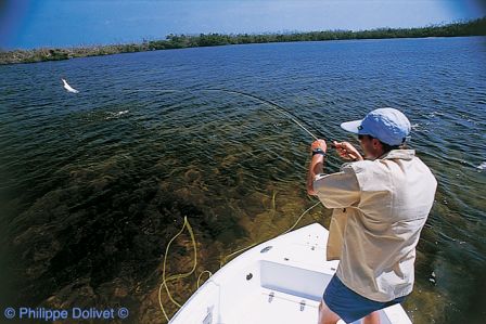 Cuba_Casa_Batida_Tarpon_2004.jpg