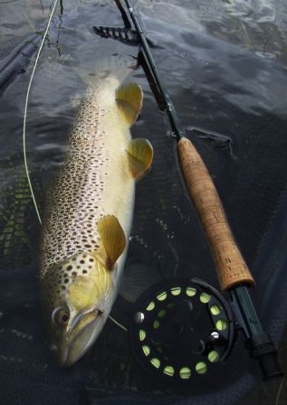 USA_Beaverhead_river_2008.jpg