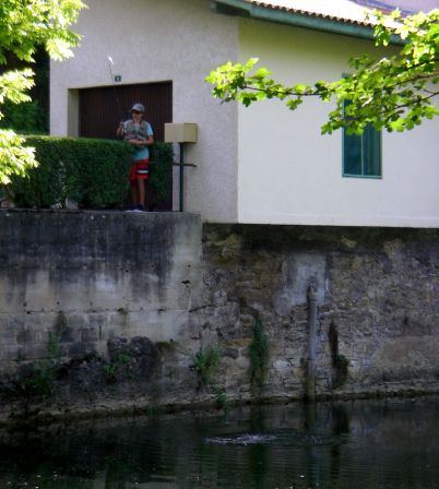 IMGP2729.JPG