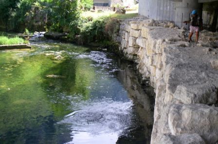 IMGP2745.JPG