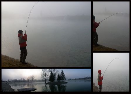 montage1.jpg, janv. 2012 montage1.jpg