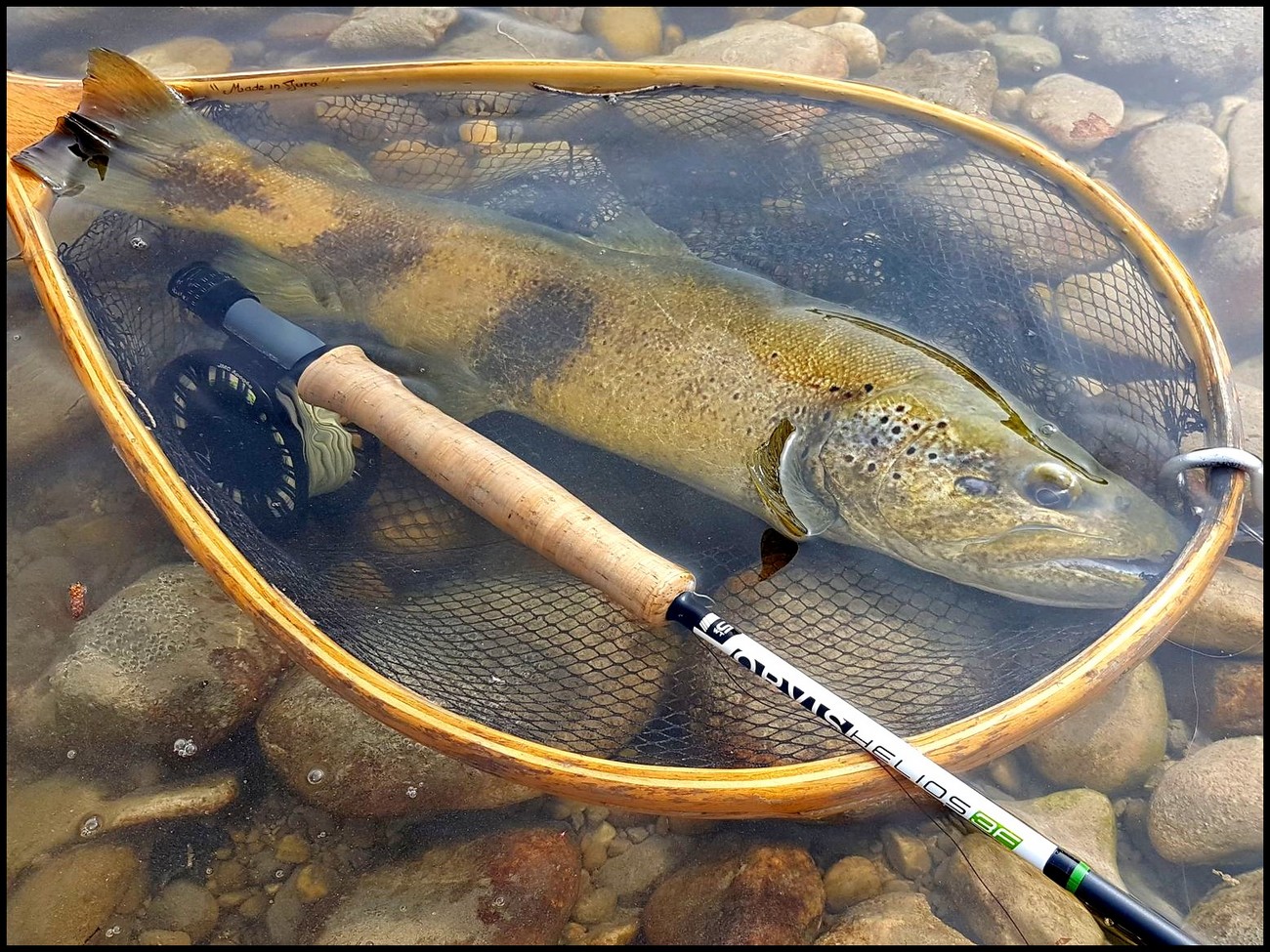 Date de fermeture de la pêche à la truite en 2016 - PECHE A LA MOUCHE