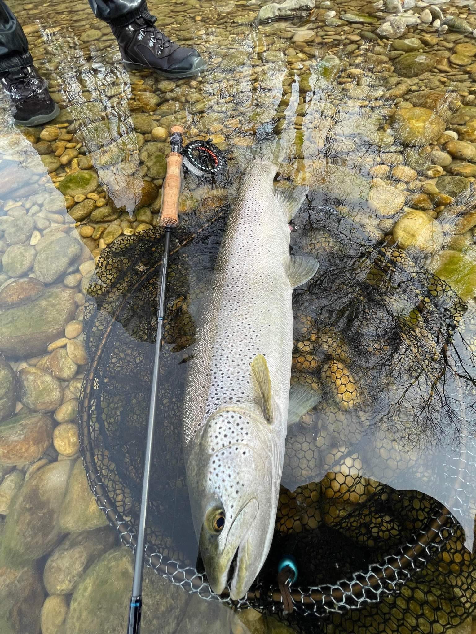 Mot-clé - Blog de pêche à la mouche - Nicolas39, Pêche à la Mouche