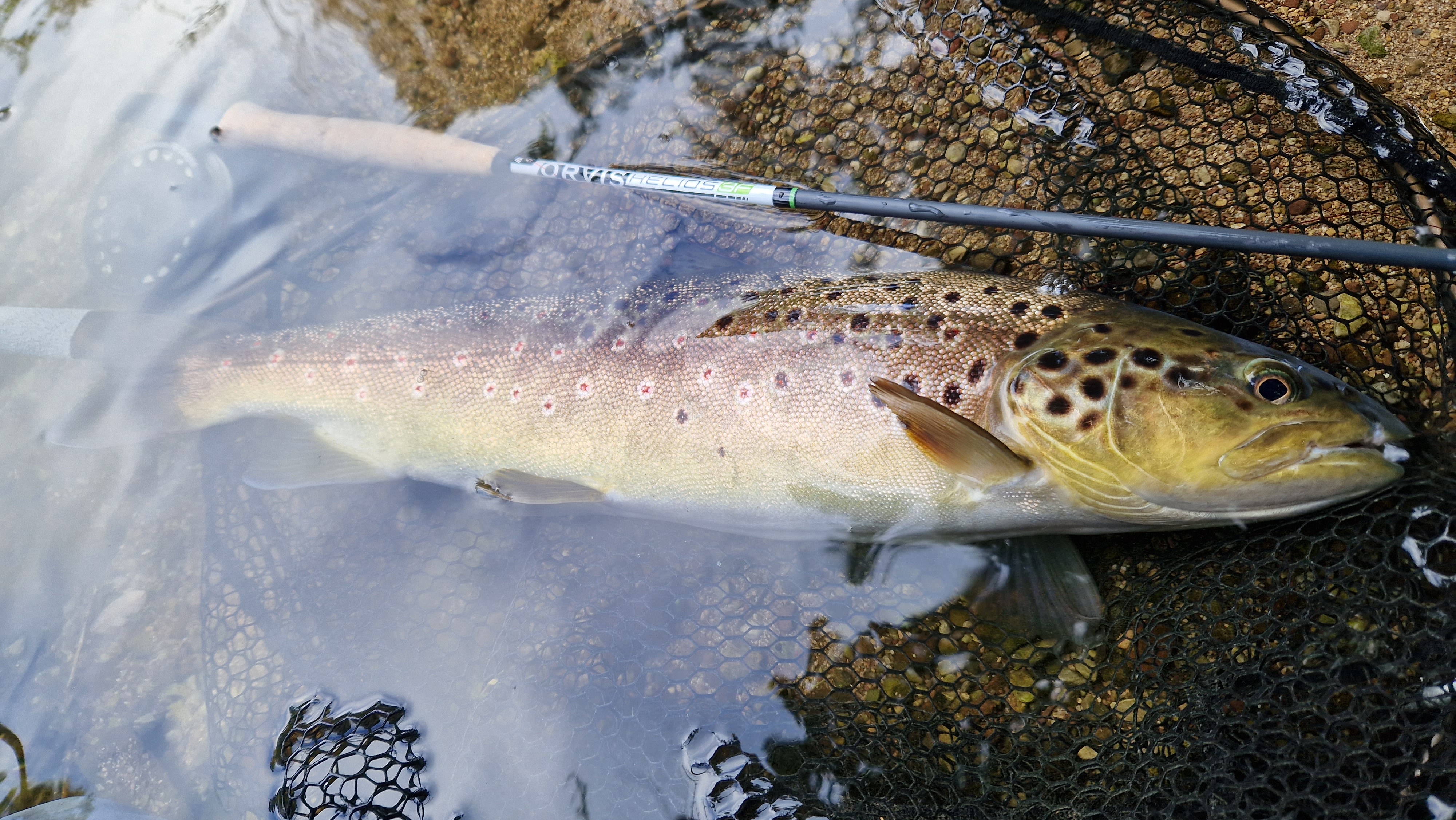 Utilisation du plomb à la pêche : c'est bientôt interdit ! - Peche et  Poissons